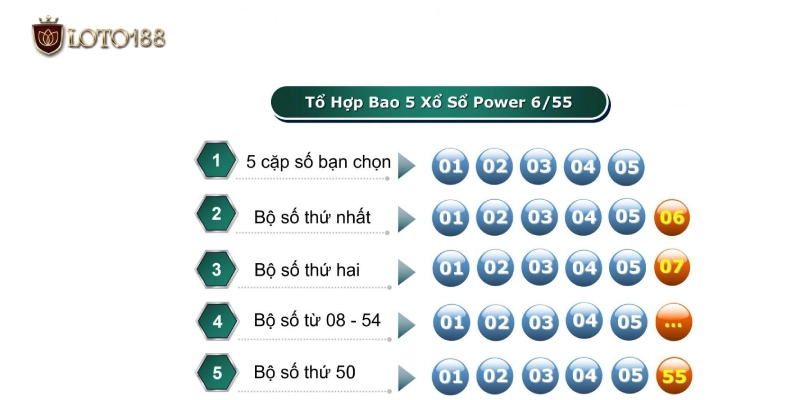 Bao 5