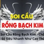 Soi cầu Rồng Bạch Kim