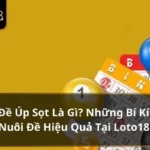 Đề úp sọt là gì