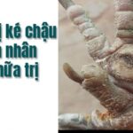 Điều Trị Gà Bị Ké Chậu Bằng Thuốc Và Mổ Theo Cách Dân Gian