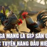 Những Trận Đấu Đá Gà Mạng Nảy Lửa Không Thể Bỏ Lỡ Loto188