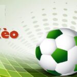 Xả Kèo Là Gì? Hướng Dẫn Cách Xả Kèo Cược Bảo Toàn Vốn